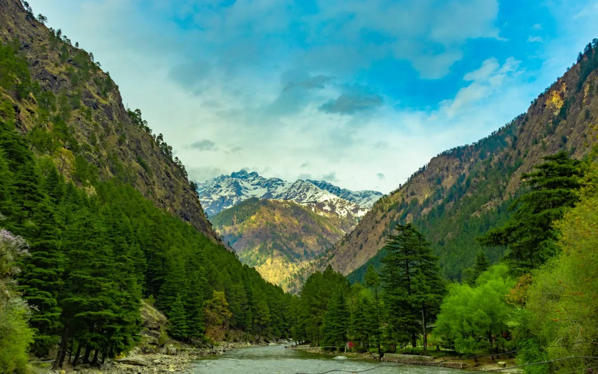 A river through pine forests below snowy peaks in the Parvati Valley, Himachal