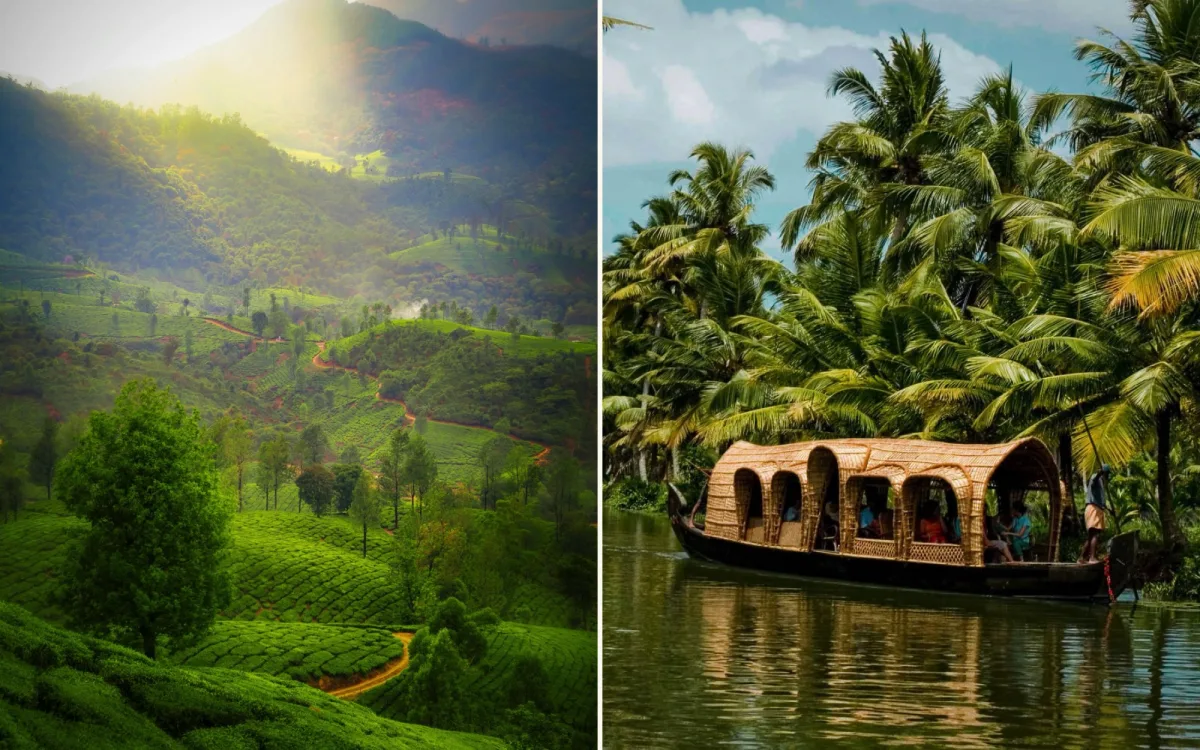Tea estates in the hills of Munnar, and a houseboat on the Alleppey backwaters