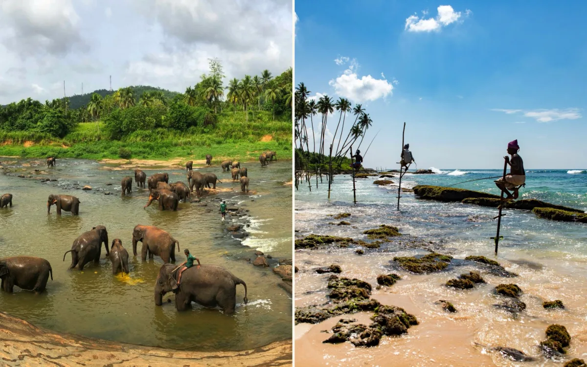 Elephants bathing in the river at Pinnawala, and stilt fishermen on the south coast near Galle